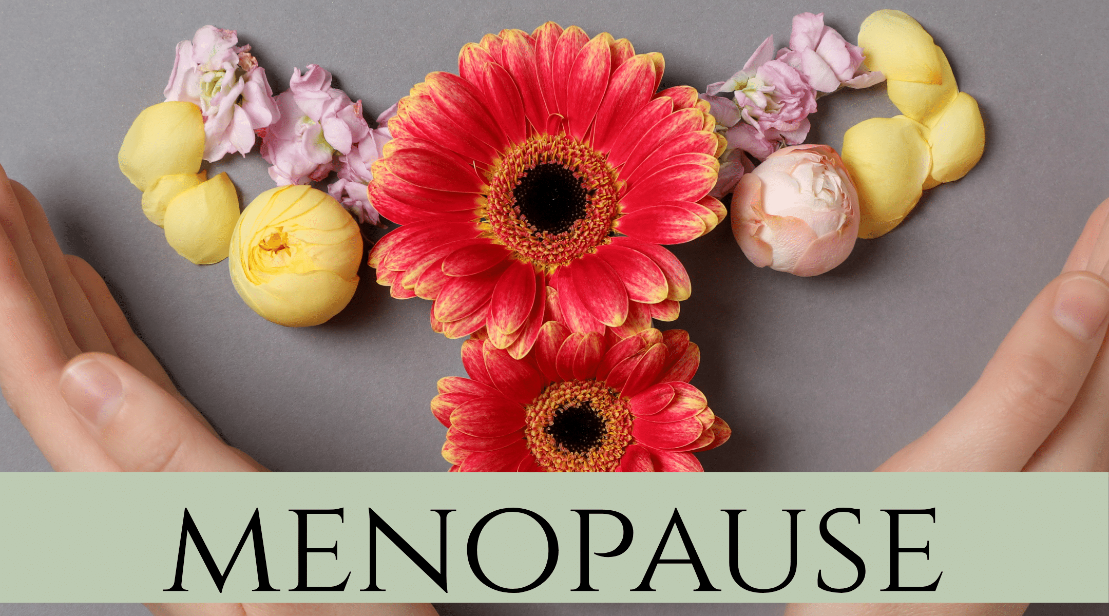 What is Menopause