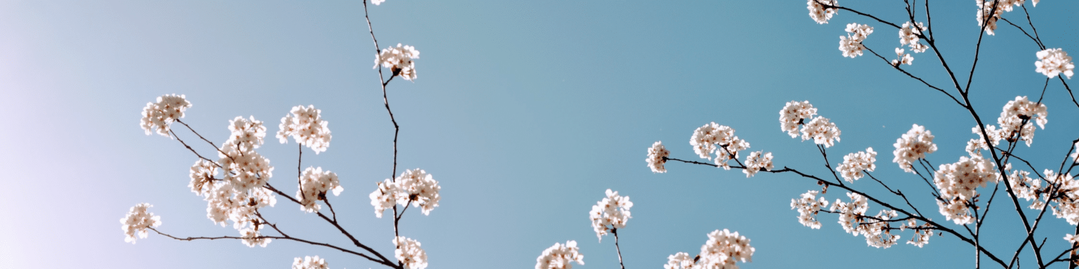 Why you’re gaining belly fat in perimenopause (4 levels)